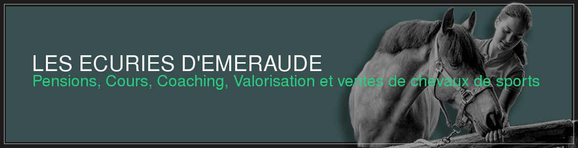 LES ECURIES D'EMERAUDE